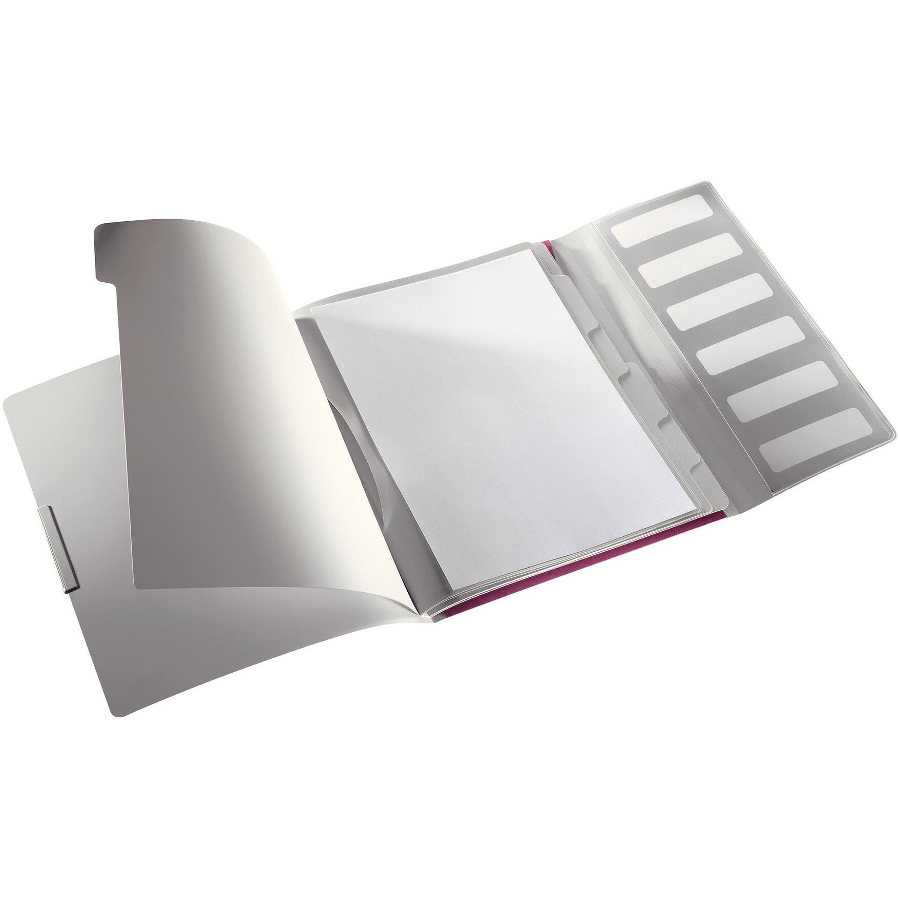 Leitz Style PP Divider Book Premium File Folder with 6 Tabbed Dividers, Garnet Red (200 Sheets Capacity)
