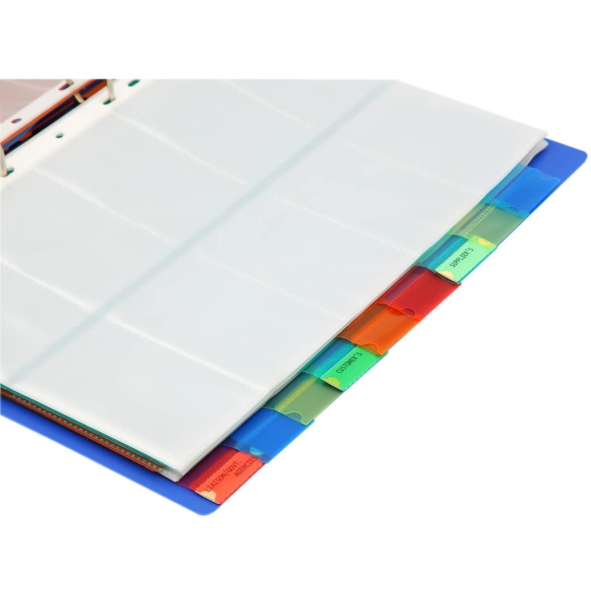 Solo A4 Business Cards Holder File, 500 Cards Pockets with Indexes Professional Document Organizer for Name, Visiting, Credit, Debit & ID Office Cards with Hard Plastic Cover File (Blue)