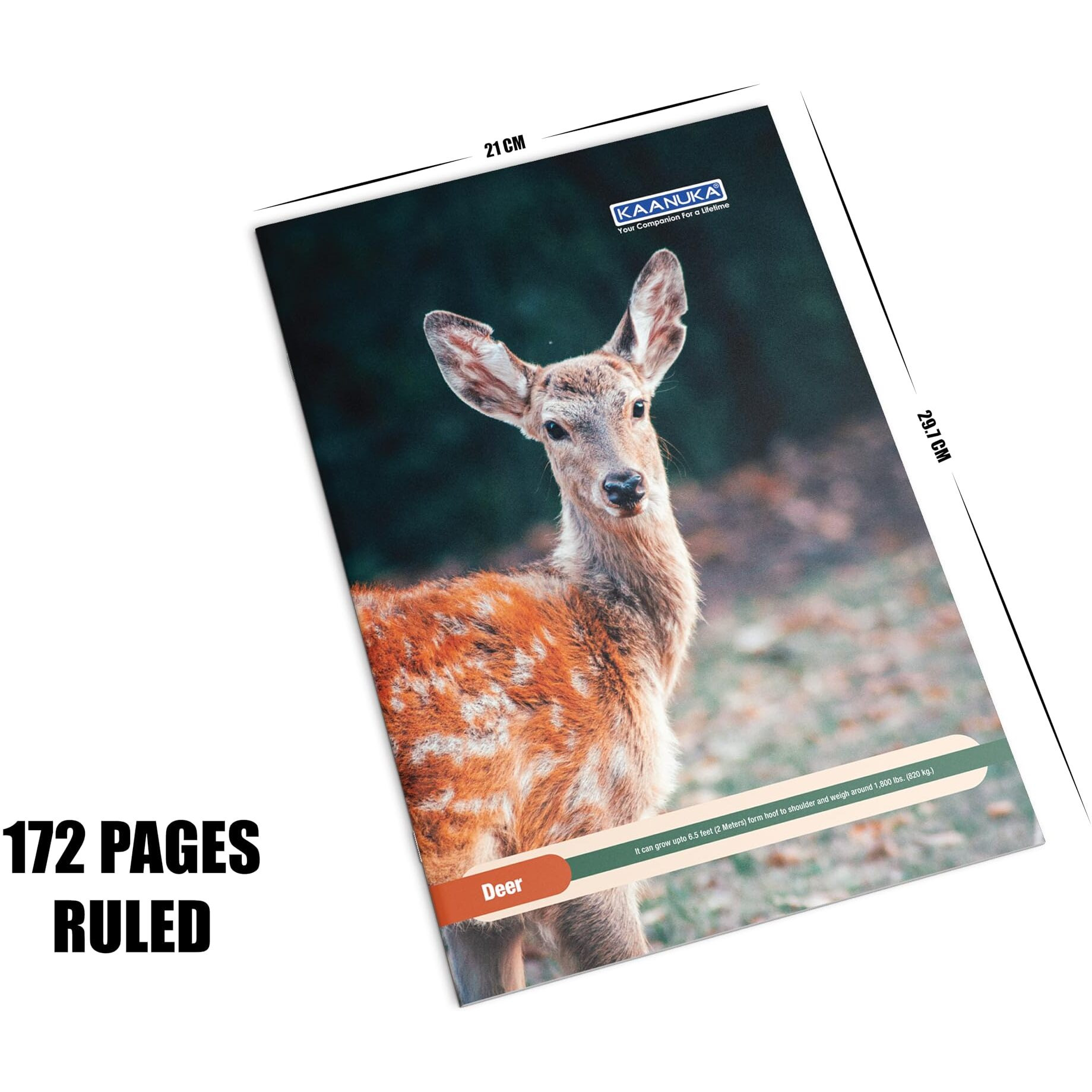 KAANUKA Long Size Notebook - 172 Pages, Ruled, Single Line, A4-29.7cm X 21.0cm, Pack Of 5 Notebooks, Long Size Single line Notebooks for School and College Students