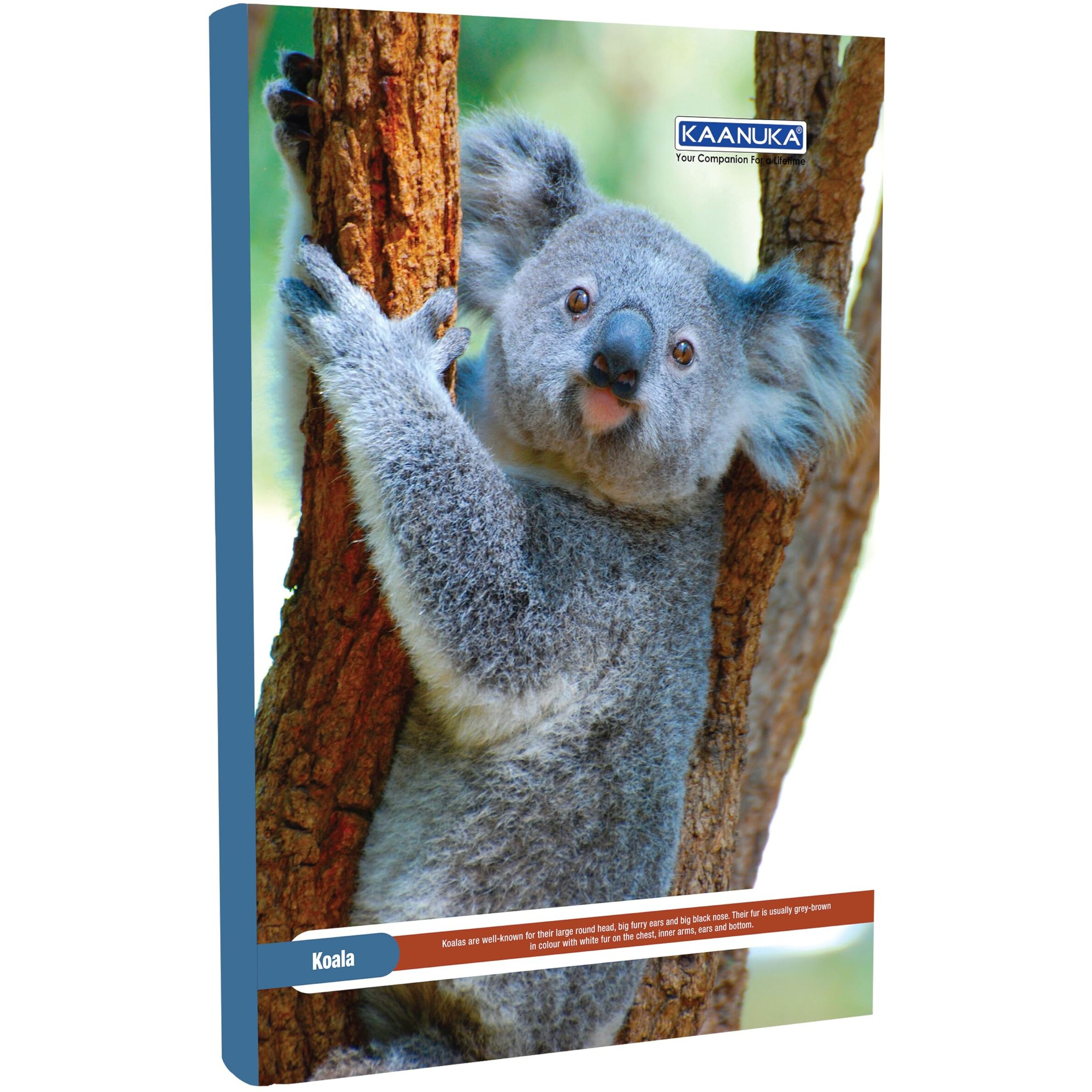 KAANUKA Long Size Notebook - 172 Pages, Ruled, Single Line, A4-29.7cm X 21.0cm, Pack Of 5 Notebooks, Long Size Single line Notebooks for School and College Students