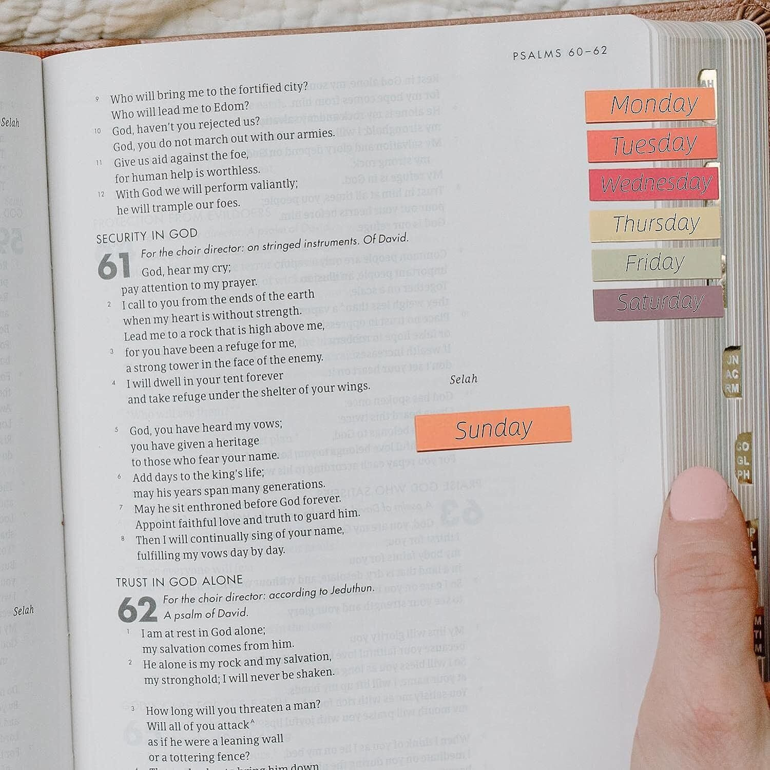 SHUTTLE ART Sticky Index Tabs, Annotation Book Markers Tabs, Transparent Sticky Notes for Writable Page Notes, Morandi Aesthetic Sticky Tabs for Reading File Classify Marking (6 Packs|1200 Pcs Notes)
