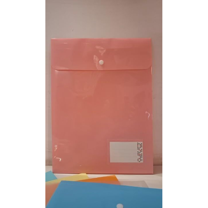 WHNOATOC Document Holder Envelope Folder,File Storage Bag with Snap Button Transparent Plastic File for documents File Holder/Document Folder for Certificates Legal Documents Organizers, Pack of-5