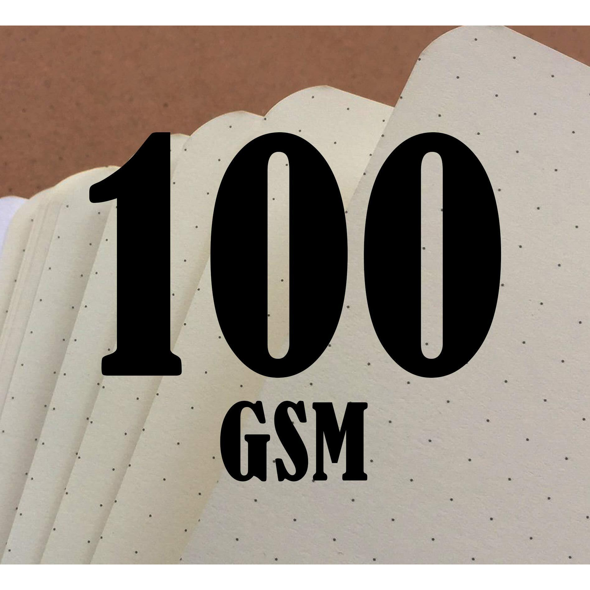 FACTOR NOTES 100 GSM A5 Notebook Dot Grid | 144 Pages (The Pastel Mint Roses)