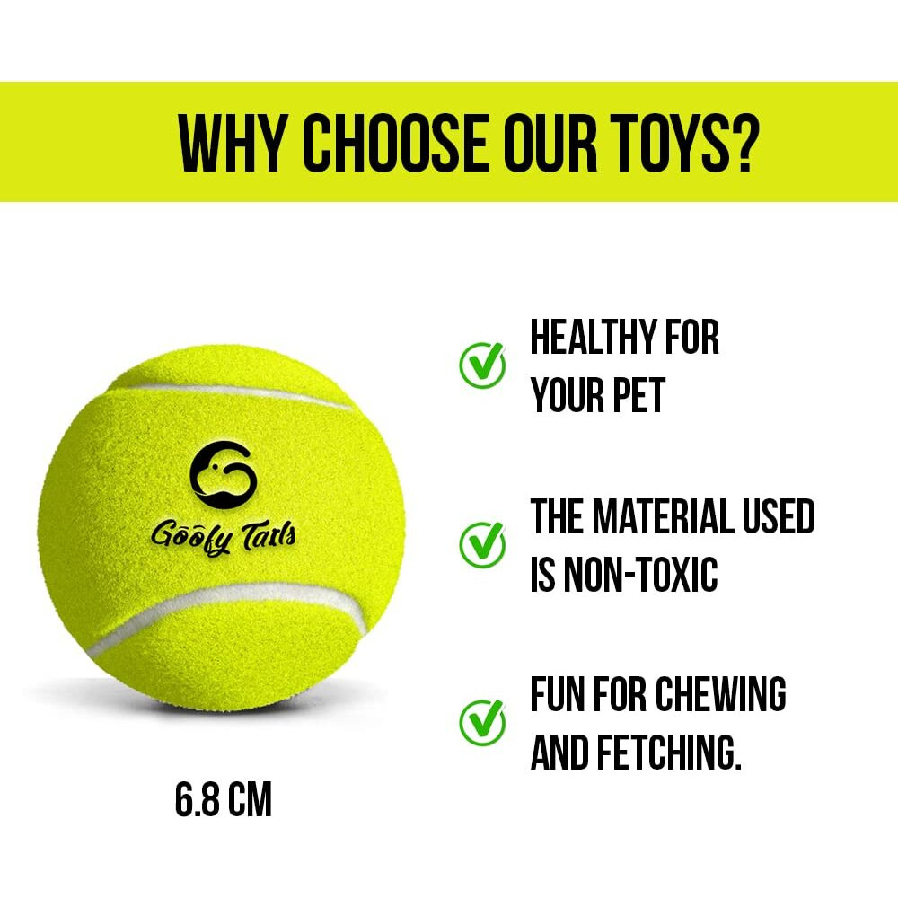 Goofy Tails Tennis Dog Ball Dog Toys | Combo of Tennis Ball for Dog| Non Squeaky Toys for Dogs |Dog Toy Ball| Dog Chew Toys| Balls for Dogs (Light Green, Pack of 2)