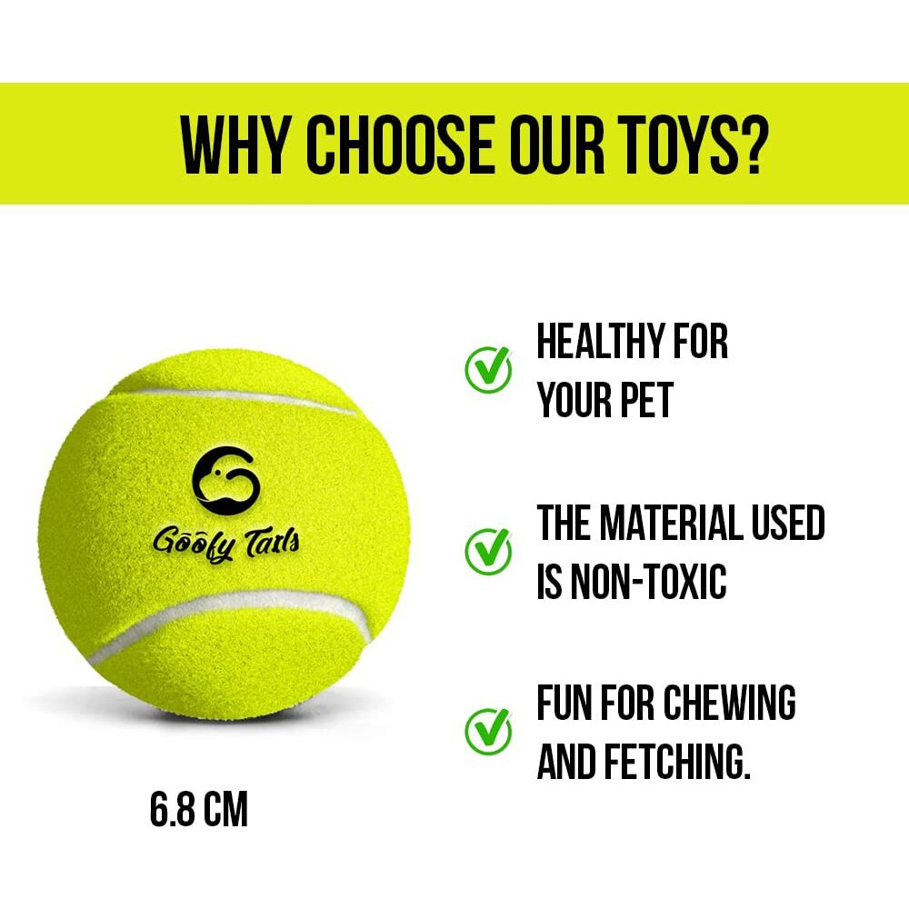 Goofy Tails Tennis Dog Ball Dog Toys, Combo of Tennis Ball for Dog, Non Squeaky Toys for Dogs,Dog Toy Ball, Dog Chew Toys, Balls for Dogs (Light Green, Pack of 5)