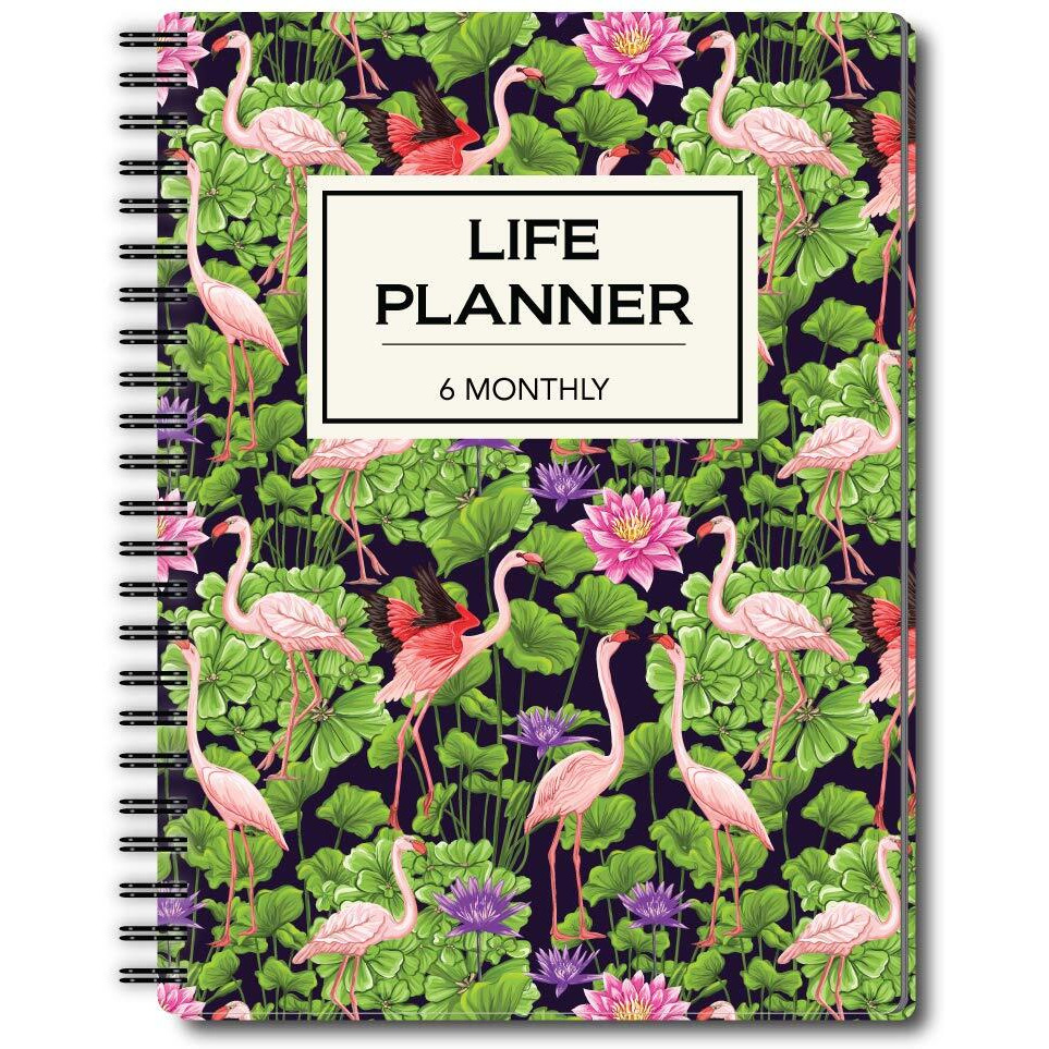 Nourish A5 Life Planner for 6 Months Undated Hardcover, Includes Monthly, Daily, Fitness and Financial Planner