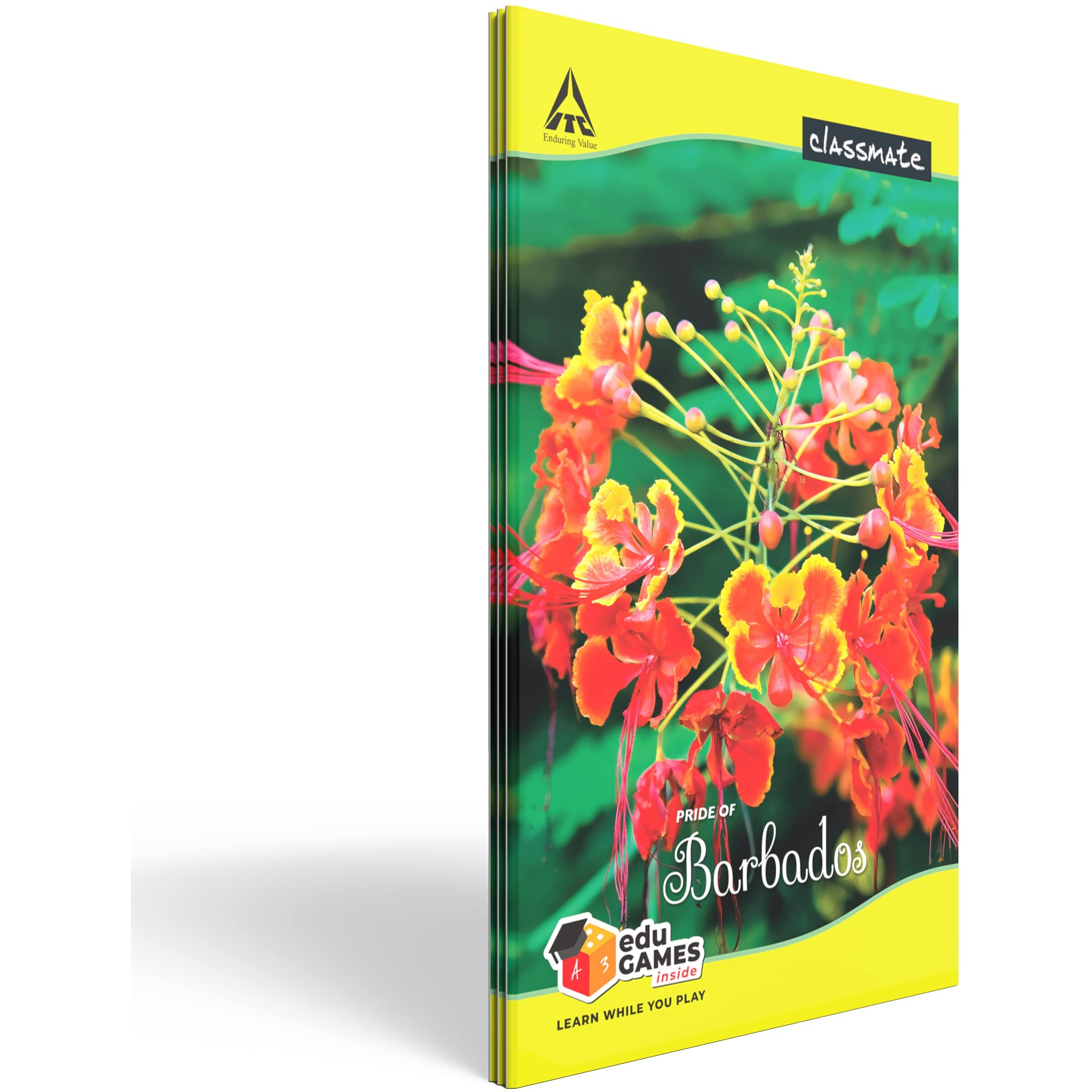 Classmate Long Book - Unruled, 160 Pages, 314 mm x 194 mm - Pack Of 3