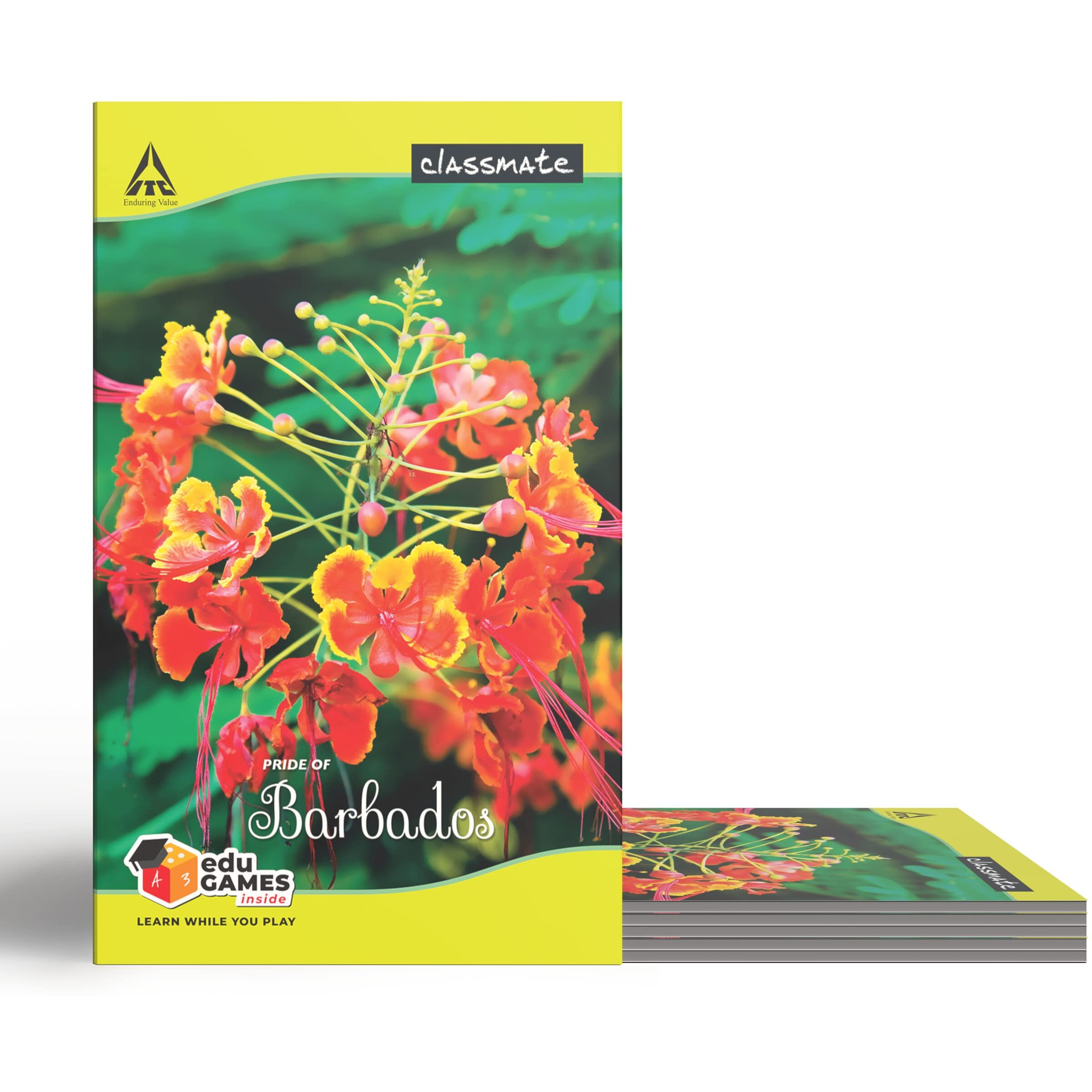 Classmate Long Book - Unruled, 160 Pages, 314 mm x 194 mm - Pack Of 3