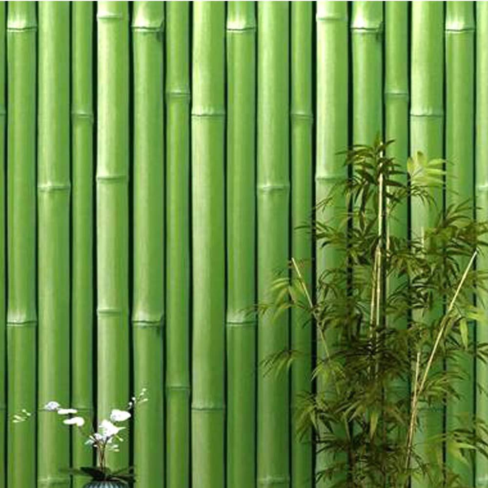 Univocean Green Bamboo Home Wallpaper, Self Adhesive Wall Decor PVC Vinyl Stickers, 500 x 45 cm