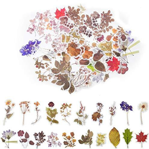 HASTHIP 60 Pcs Vintage Stickers For Wall Book For Journal Scrapbook Phone Case Stickers For Aesthetic, Romantic Easy Self-Adhesive Plants Floral Style Decoration Note Paper Stickers For, 8.7 Cm