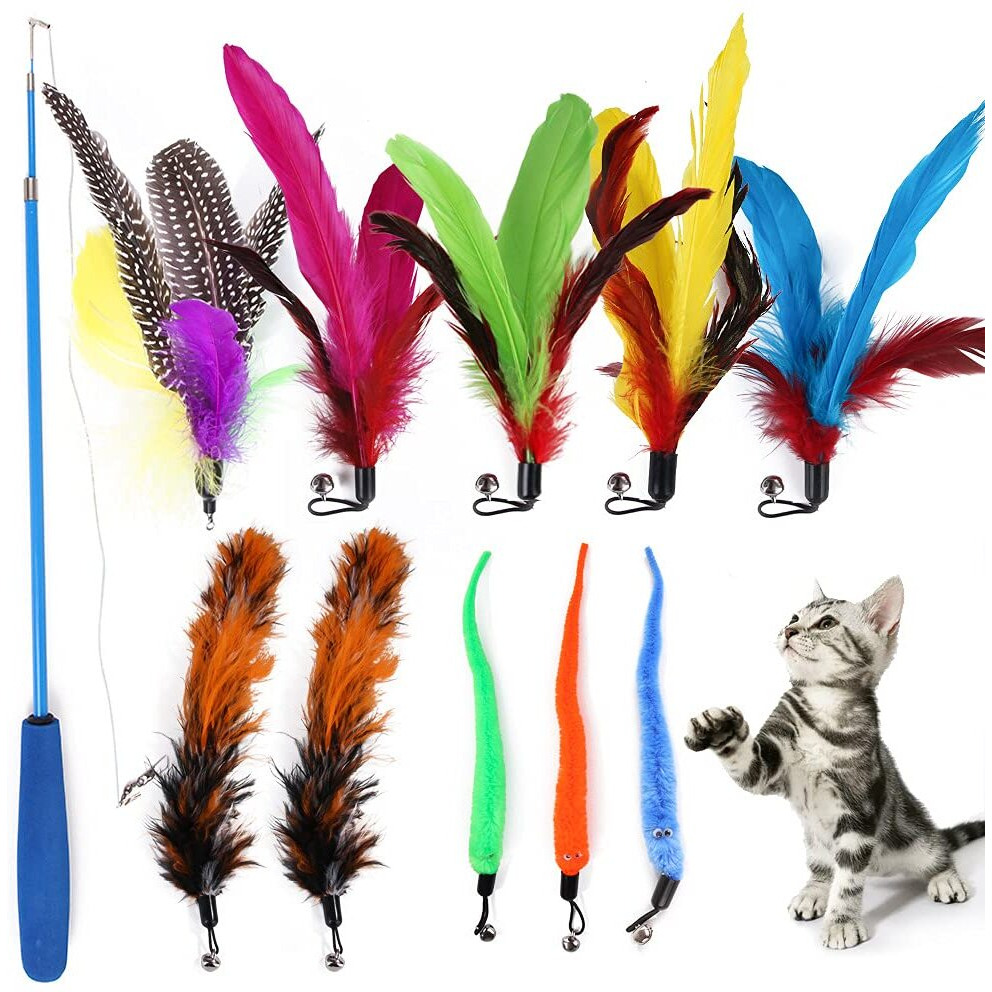 Qpets Cat Toys - Interactive 11 Piece Cat Toy Set with Retractable Wands and Feather Worm Toys - Kitten Toys Variety of Vibrant Colours - Activity Toys to Exercise Cats and Kittens