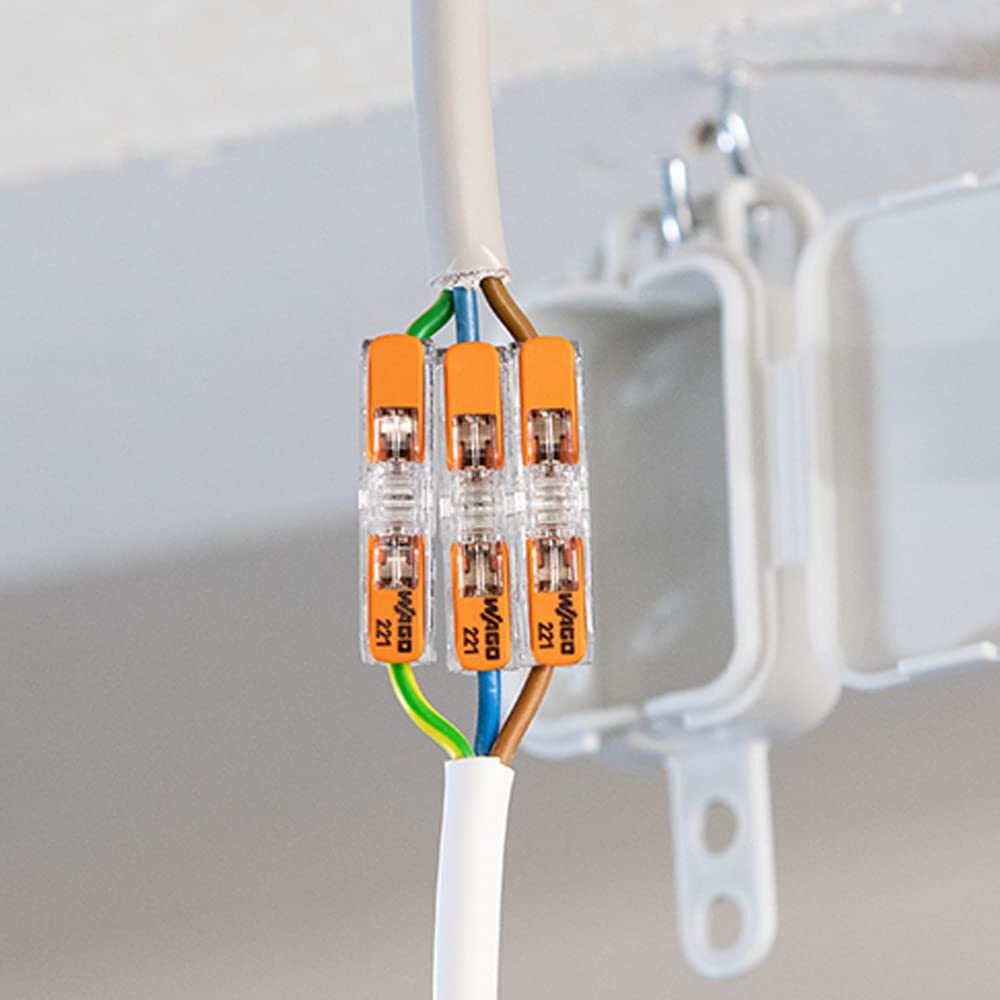 Wago 221-2411 | 2-Conductor Compact Inline Splicing Connectors, Electrical Wire Connectors For Reliable Connection, Lever-Actuated Electrical Connectors, Suitable For All Wires Upto 4 Mm - Pack Of 60