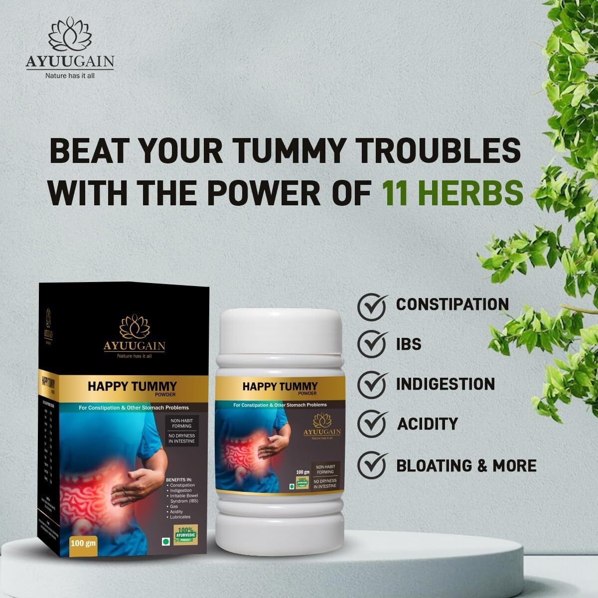 Ayuugain Happy Tummy Powder For Constipation, Indigestion, Gas, Acidity And Ibs Relief | Pure Ayurvedic Constipation Relief Medicine | Natural Laxatives, Stool Softener, Bowel Regulator Powder -100Gm