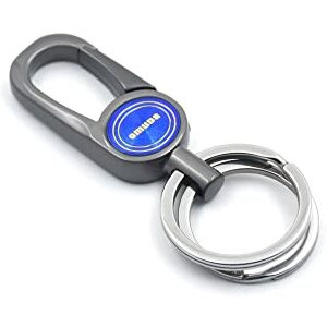 Omuda Stylish Hook Locking Silver Metal Carabiner Double Ring Hook Metal Key Chain For Men & Women