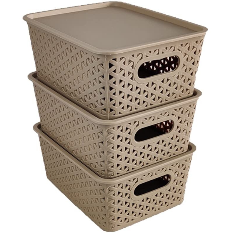 Homestrap Set Of 3 Plastic Storage Organizers/Baskets With Lid For Kitchen, Clothes, Multipurpose Vegetables, Toys, Books, Office, Stationery, Wardrobe(Small| Biscuit)