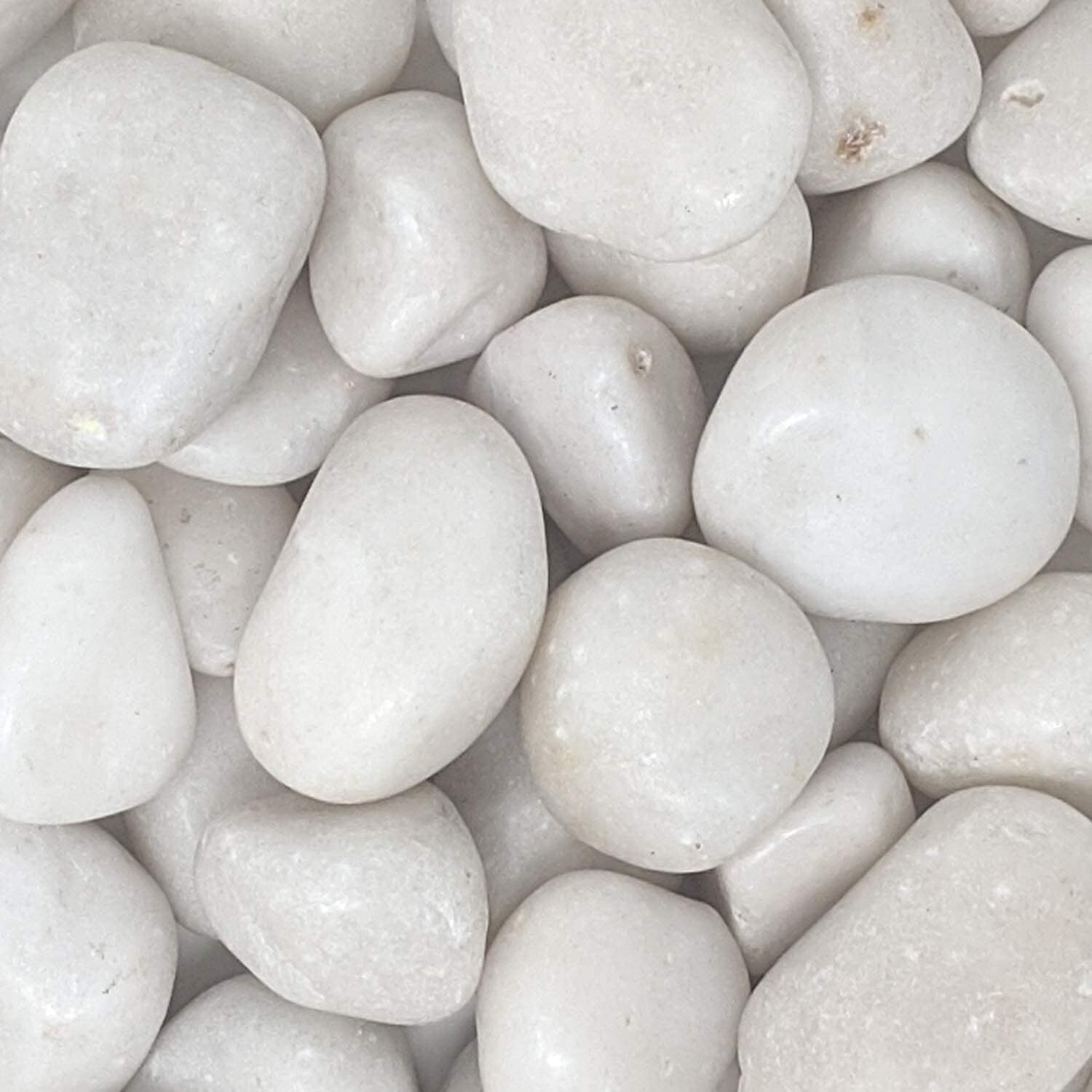Foodie Puppies Big White Polished River Rock Stones (White Jumbo, 3Kg) (4Cm - 6Cm) For Home Decoration, Aquarium/Fish Tank, Garden, And Swimming Pool Polished River Rock Unplanted Substrate