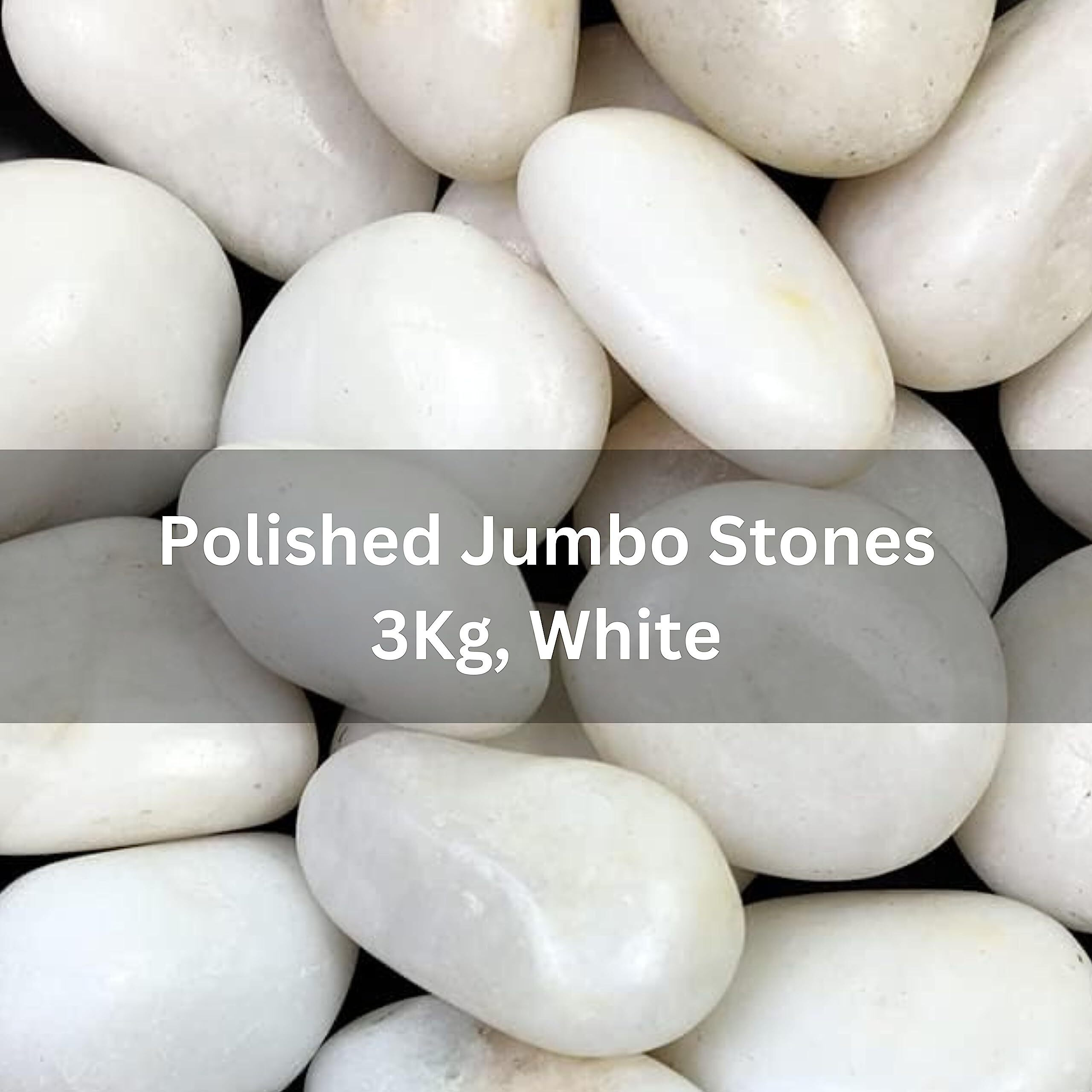Foodie Puppies Big White Polished River Rock Stones (White Jumbo, 3Kg) (4Cm - 6Cm) For Home Decoration, Aquarium/Fish Tank, Garden, And Swimming Pool Polished River Rock Unplanted Substrate