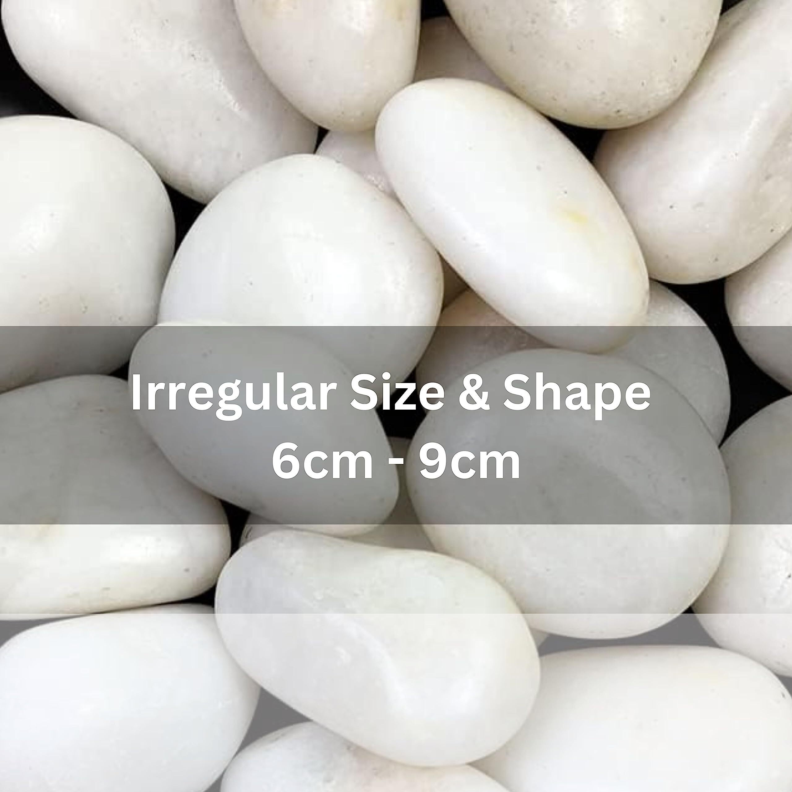 Foodie Puppies Big White Polished River Rock Stones (White Jumbo, 3Kg) (4Cm - 6Cm) For Home Decoration, Aquarium/Fish Tank, Garden, And Swimming Pool Polished River Rock Unplanted Substrate