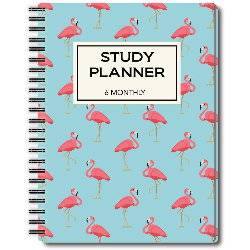Nourish A5 Study Planner For 6 Months Undated Hardcover, A Must Have For Students