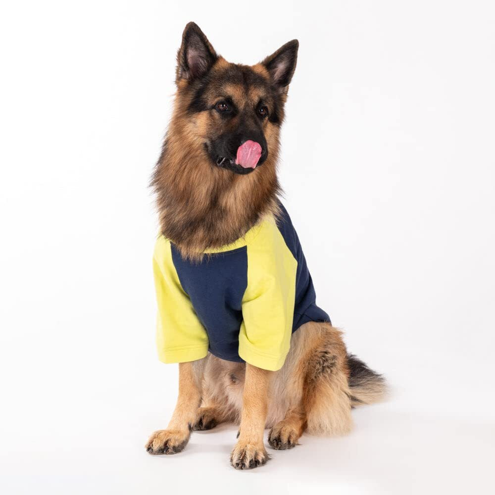 Huft Colour Block Pocket Pet Sweatshirt (M, Neon And Navy)