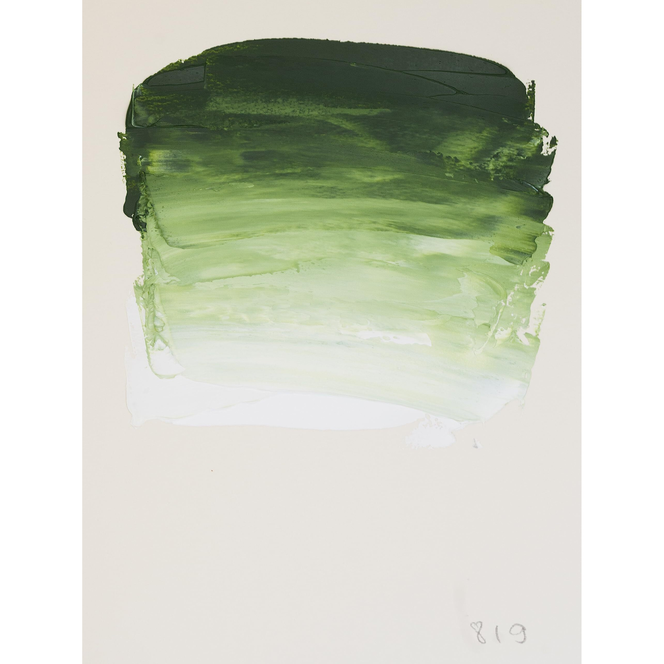 Sennelier Rive Gauche Artist Oil Color 200 Ml Sap Green