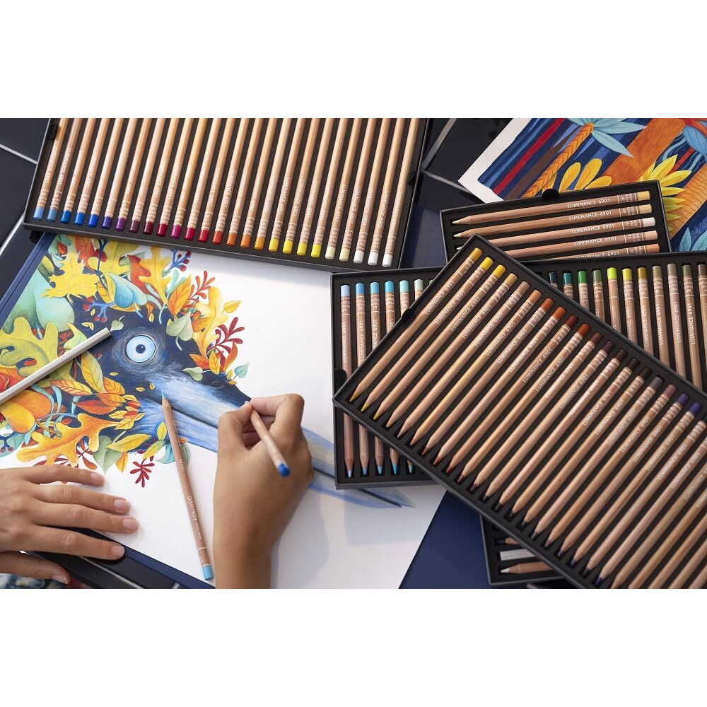 Caran DAche Luminance Lightfast Professional Colored Pencil For Artist (Cassel Earth)