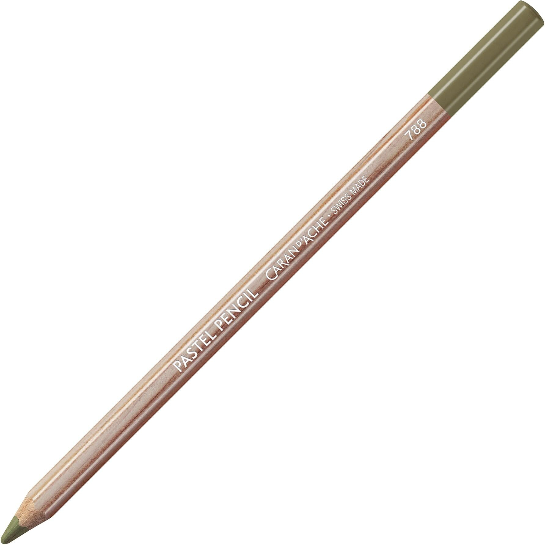 Caran DAche Pastel Pencils For Artist With Ultra-Fine Pigments (Light Reseda)