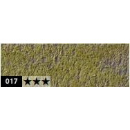 Caran DAche Pastel Pencils For Artist With Ultra-Fine Pigments (Light Reseda)