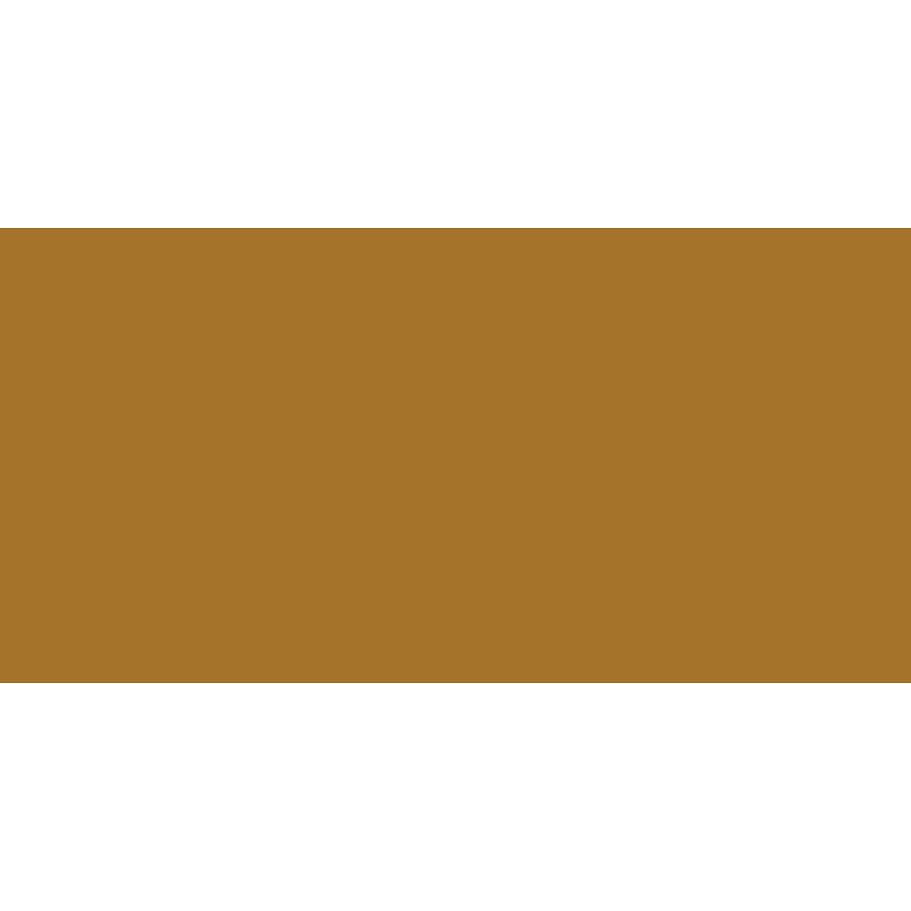 Caran DAche  Pastel Pencil (Raw Sienna)