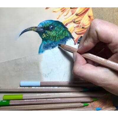 Caran DAche Pastel Pencils For Artist With Ultra-Fine Pigments (Terracotta)