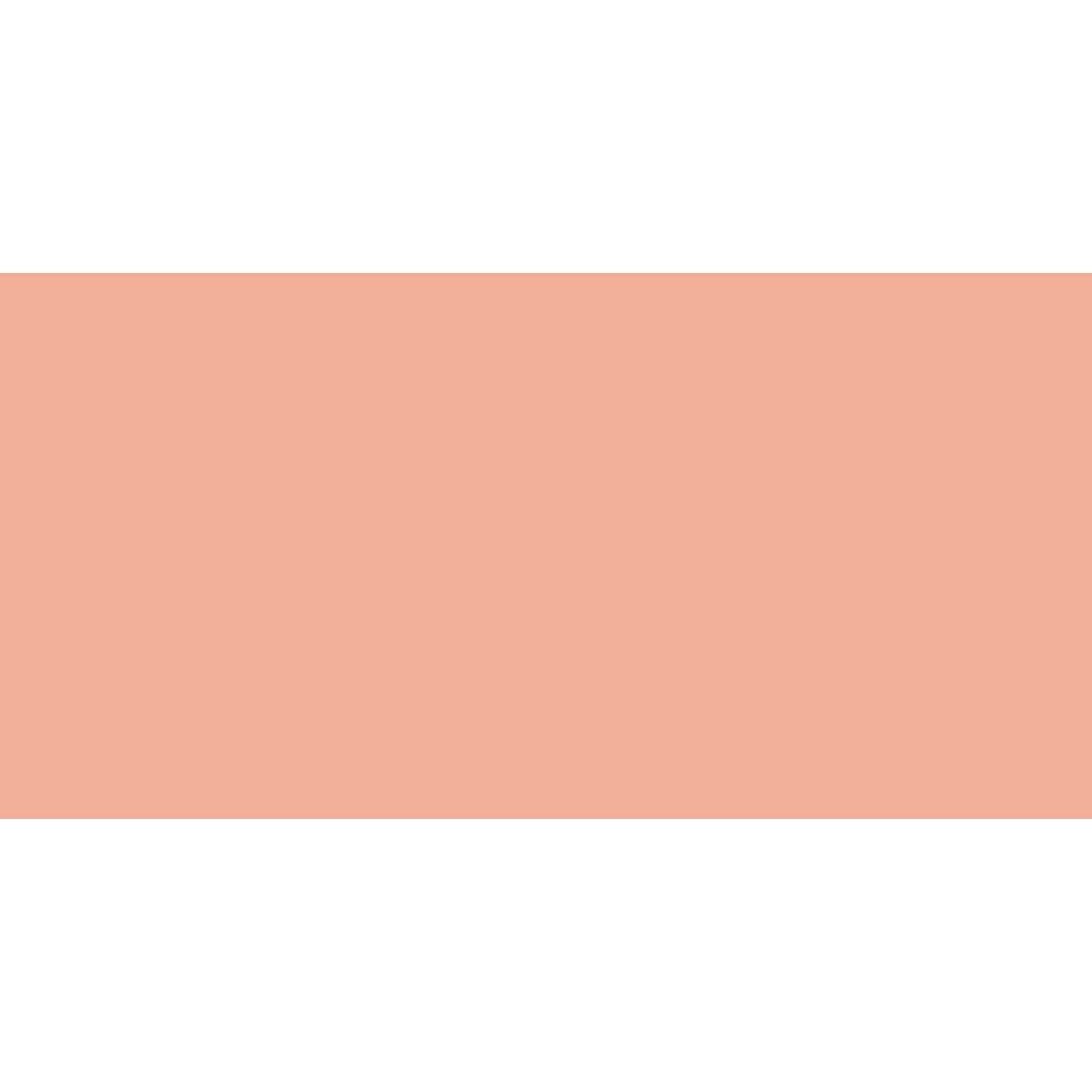 Caran DAche  Pastel Pencil (Herculaum Red)