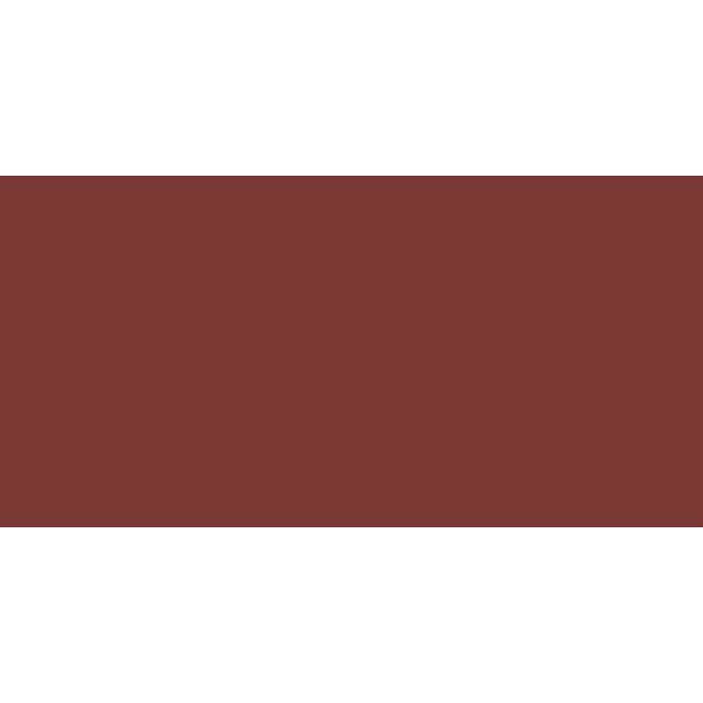 Caran DAche  Pastel Pencil (Burnt Sienna)
