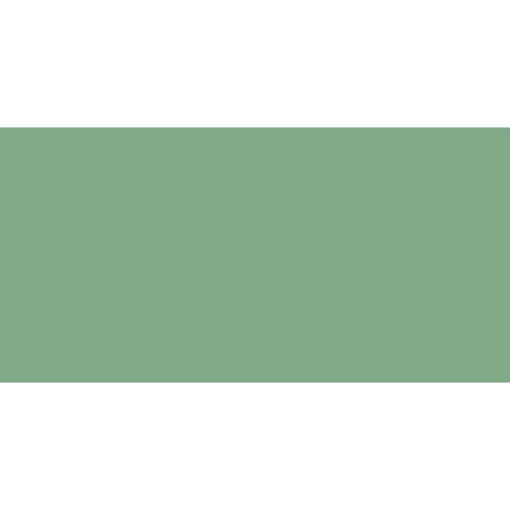 Caran DAche  Pastel Pencil (Chromium Oxyde Green)
