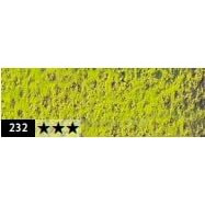 Caran DAche Pastel Pencils For Artist With Ultra-Fine Pigments (Middle Moss Green 10%)