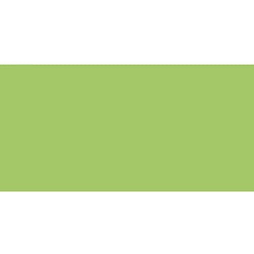 Caran DAche  Pastel Pencil (Light Olive 20%)