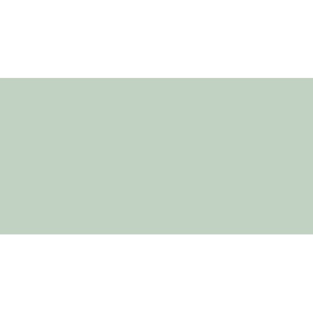 Caran DAche  Pastel Pencil (Earth Green)