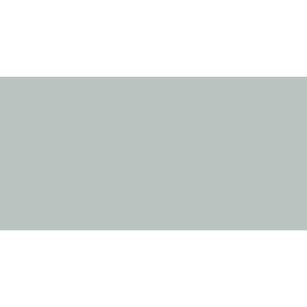 Caran DAche  Pastel Pencil (Verdigris)