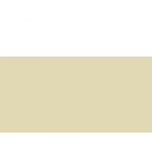 Caran DAche  Pastel Pencil (Brown Olive 10%)