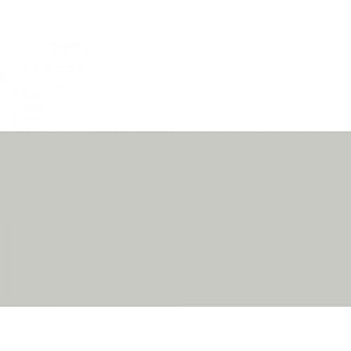 Caran DAche  Pastel Pencil (Flesh Grey 10%)