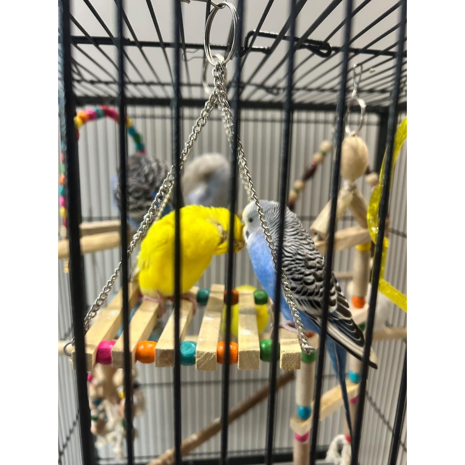 Pet, Bird, Parrot, Parakeet, Budgie, Cockatiel Cage Hammock Swing Toy Hanging Toy