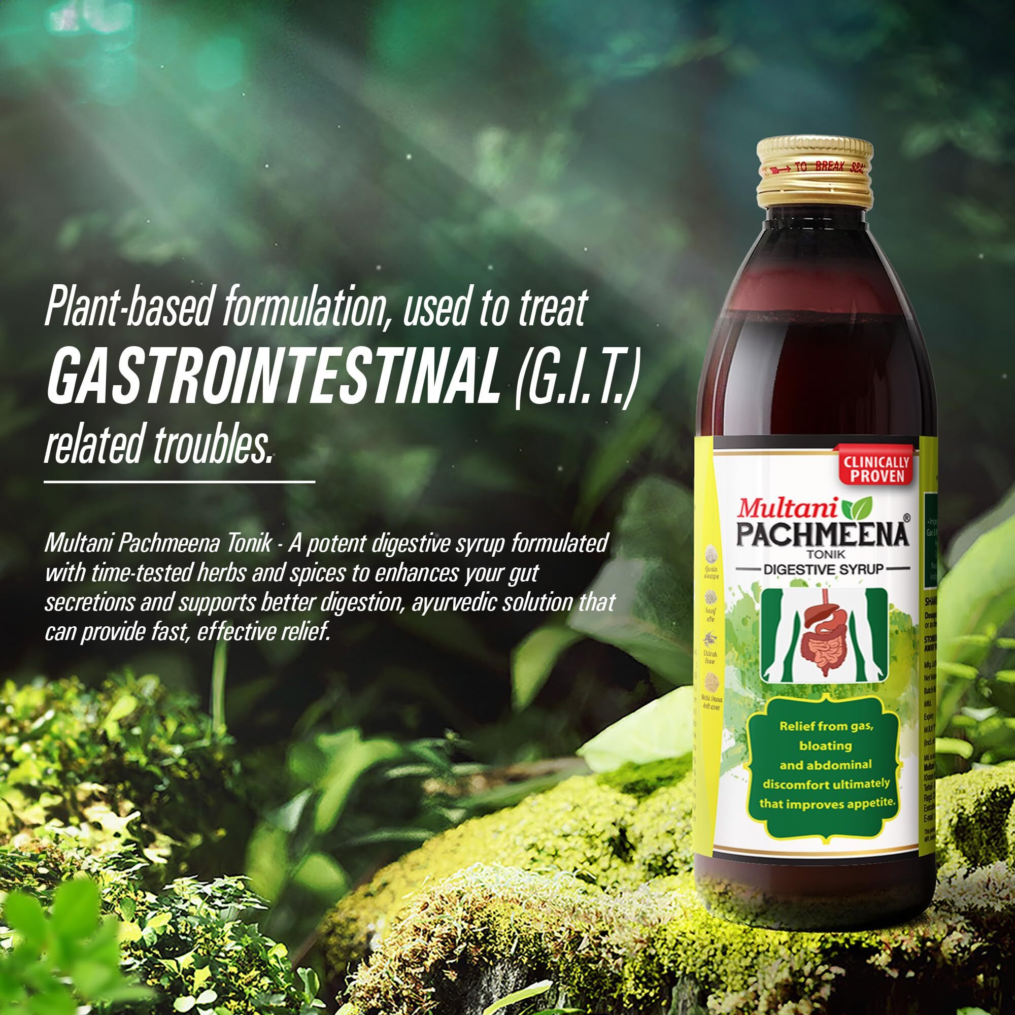 Multani Pachmeena Tonik Digestive Syrup |Ayurvedic Products For Better Digestion | Relief From Gas, Bloating, Abdominal Discomfort | Improves Appetite 100% Natural & Ayurvedic | 300 Ml
