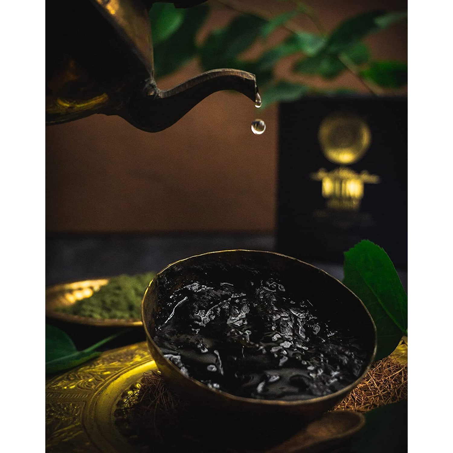 Shesha Naturals Ayurveda Nilini Hair Colour - 100% Ayurvedic, No Ammonia, No Bleach,No Peroxides, Natural Black Colour - 40G