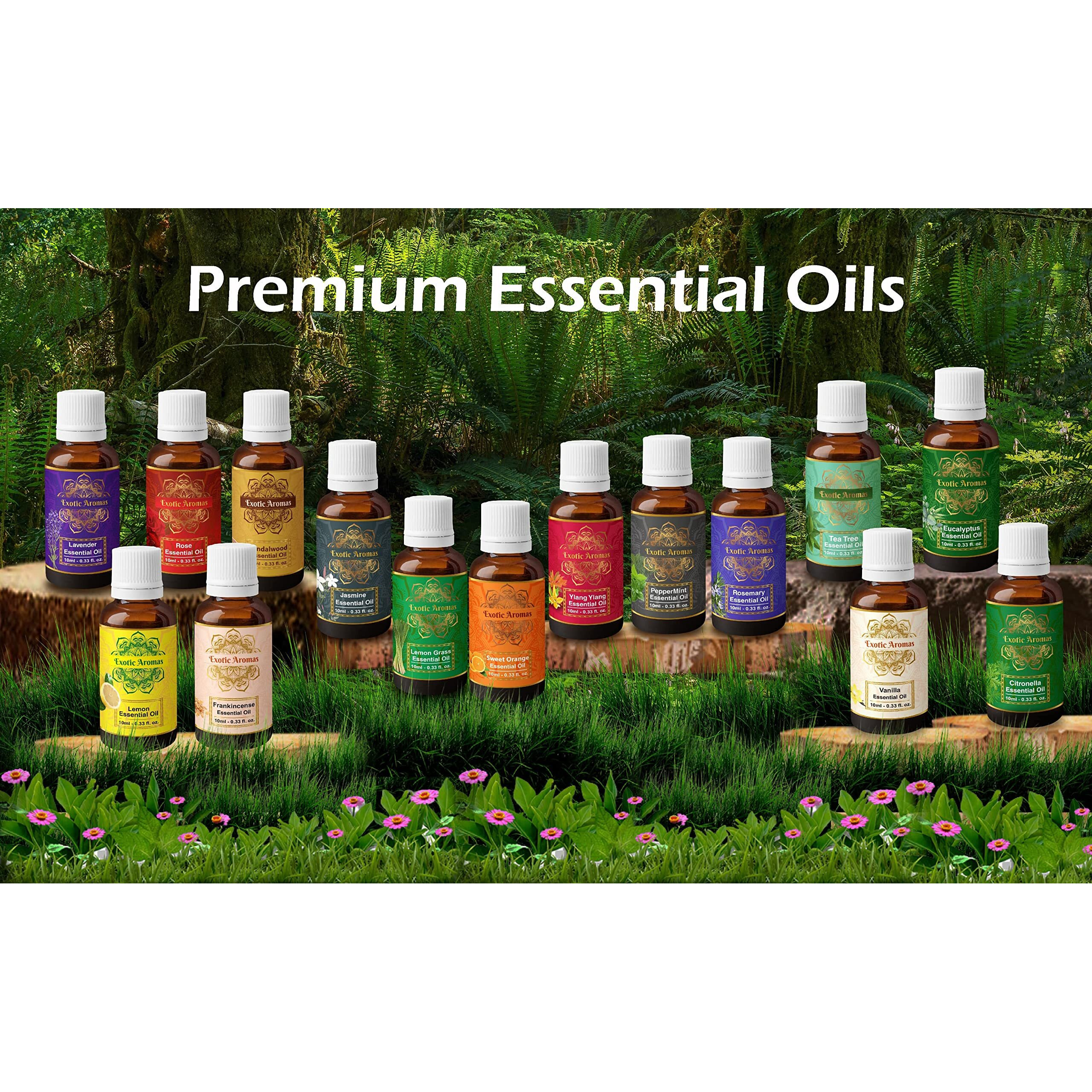 Exotic Aromas Essential Oil Pack Of 15 Lavender Rose Sandalwood Jasmine Orange Rosemary Lemongrass Ylang Ylang Tea Tree Peppermint Eucalyptus Lemon Frankincense Vanilla Citronella