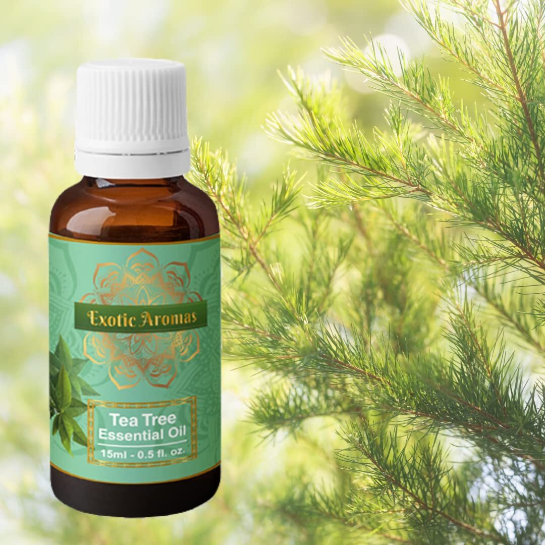 Exotic Aromas Tea Tree Oil, Essential Oil For Skin, Hair, Face, Acne Care, 100% Pure & Natural (15Ml + 15Ml) Pack Of 2