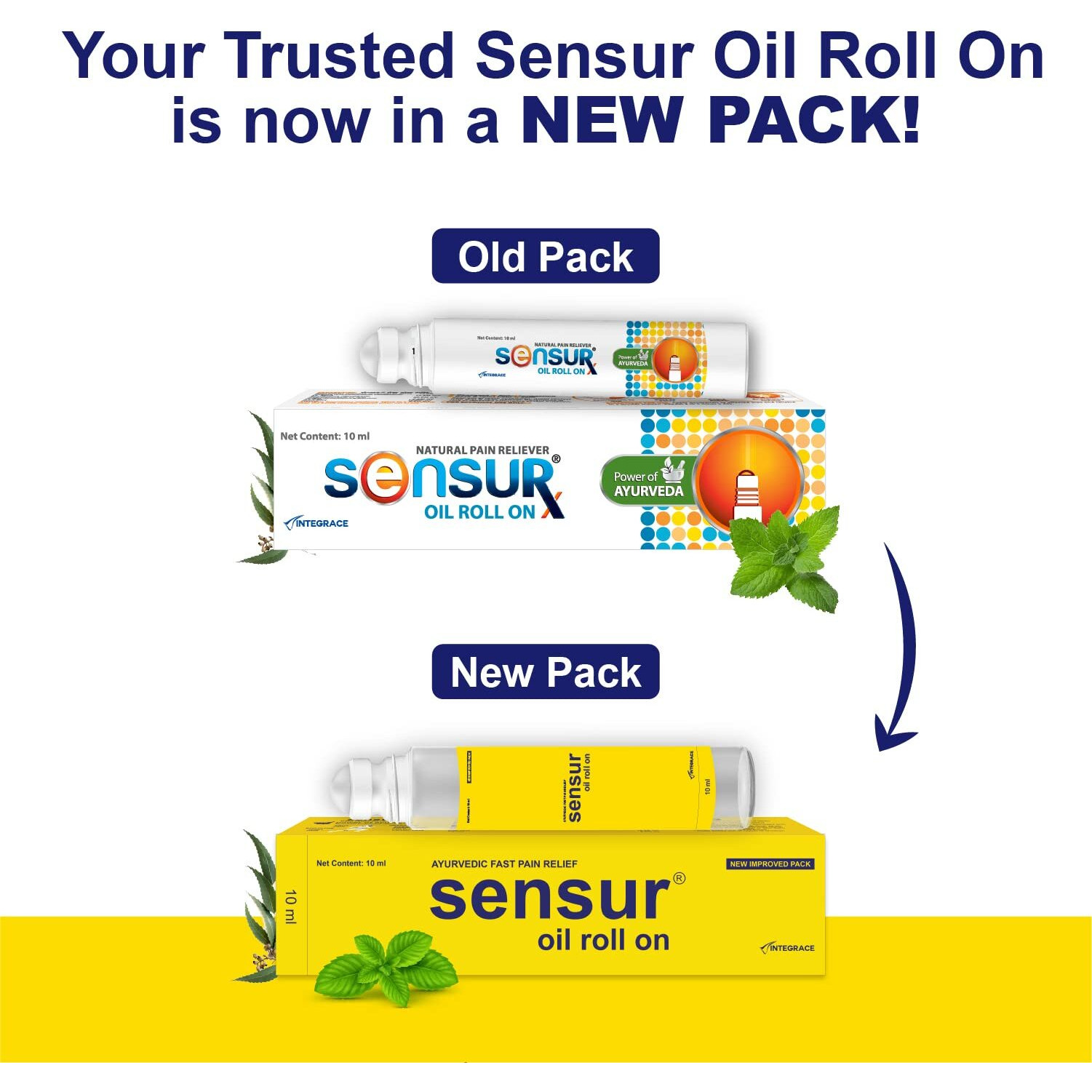 Sensur Natural & Ayurvedic Pain Relief Oil Roll On -(10Ml, Pack Of 3)