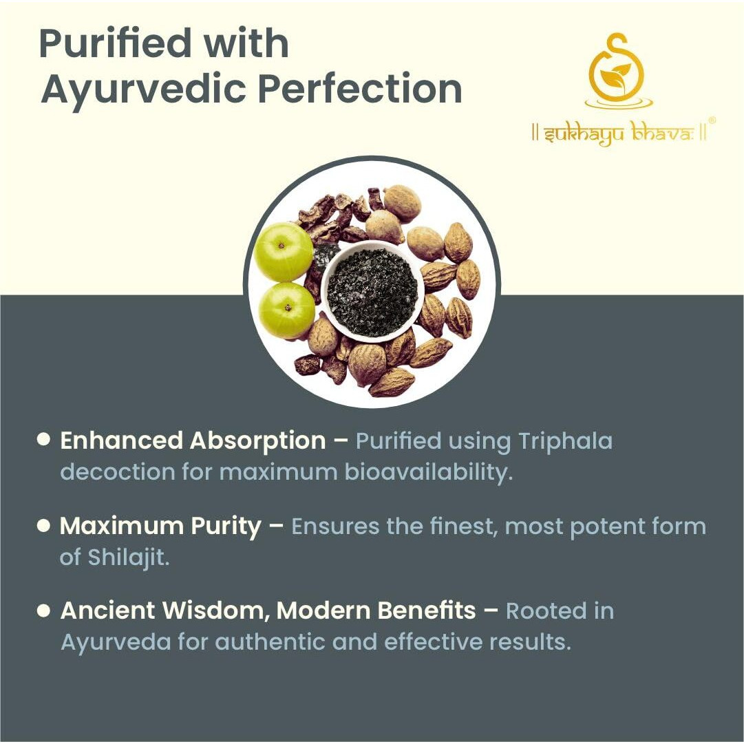 Sukhayu Bhava Shilajit Resin | Purified With Triphala | 100% Ayurvedic Energy Booster | Supports Stamina, Strength & Vitality | Lab-Tested & Heavy Metal-Free | 20G | 40 Servings