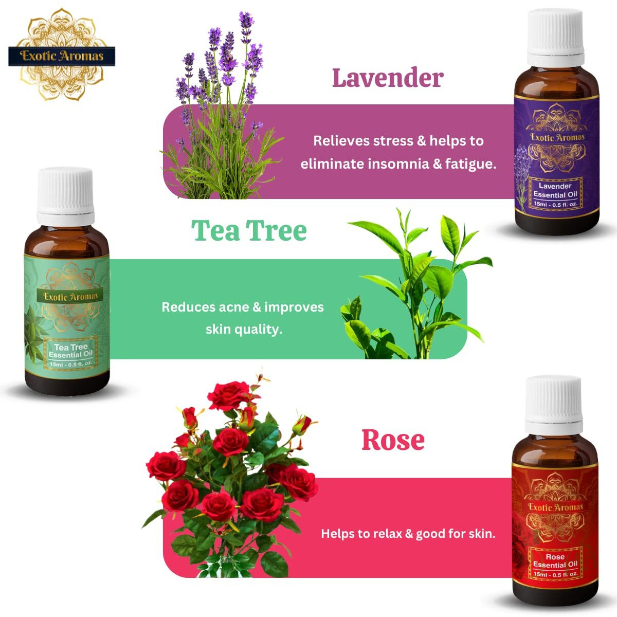 Exotic Aromas Essential Oil Lavender, Tea Tree, Rosemary, Rose, Jasmine (Pack Of 5)