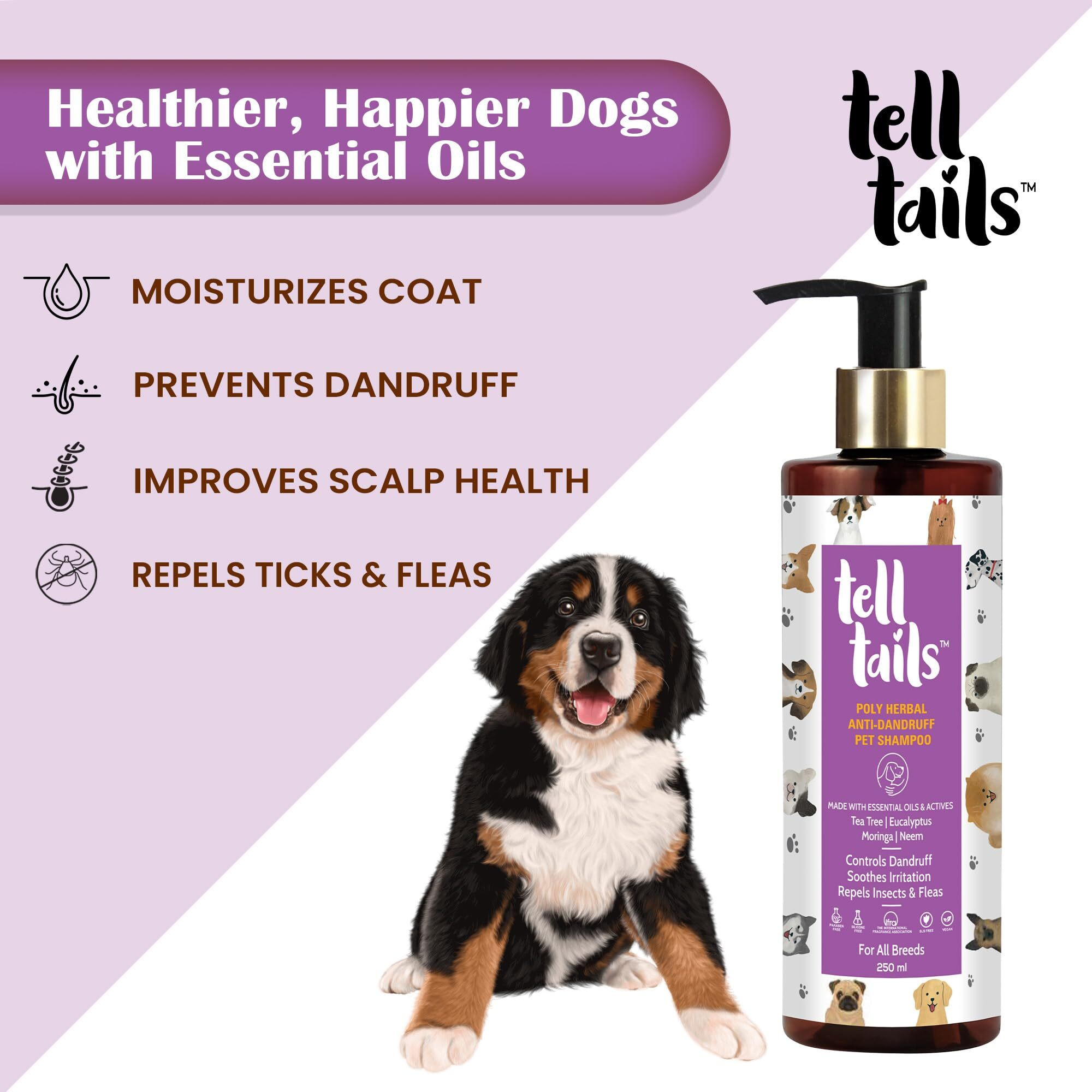 Telltails Anti-Dandruff Pet Shampoo | Prevents Dandruff & Repels Ticks & Fleas | Improves Scalp Health | Tea Tree, Eucalyptus, Moringa & Neem | Antimicrobial & Anti-Inflammatory | All Breeds | 250Ml