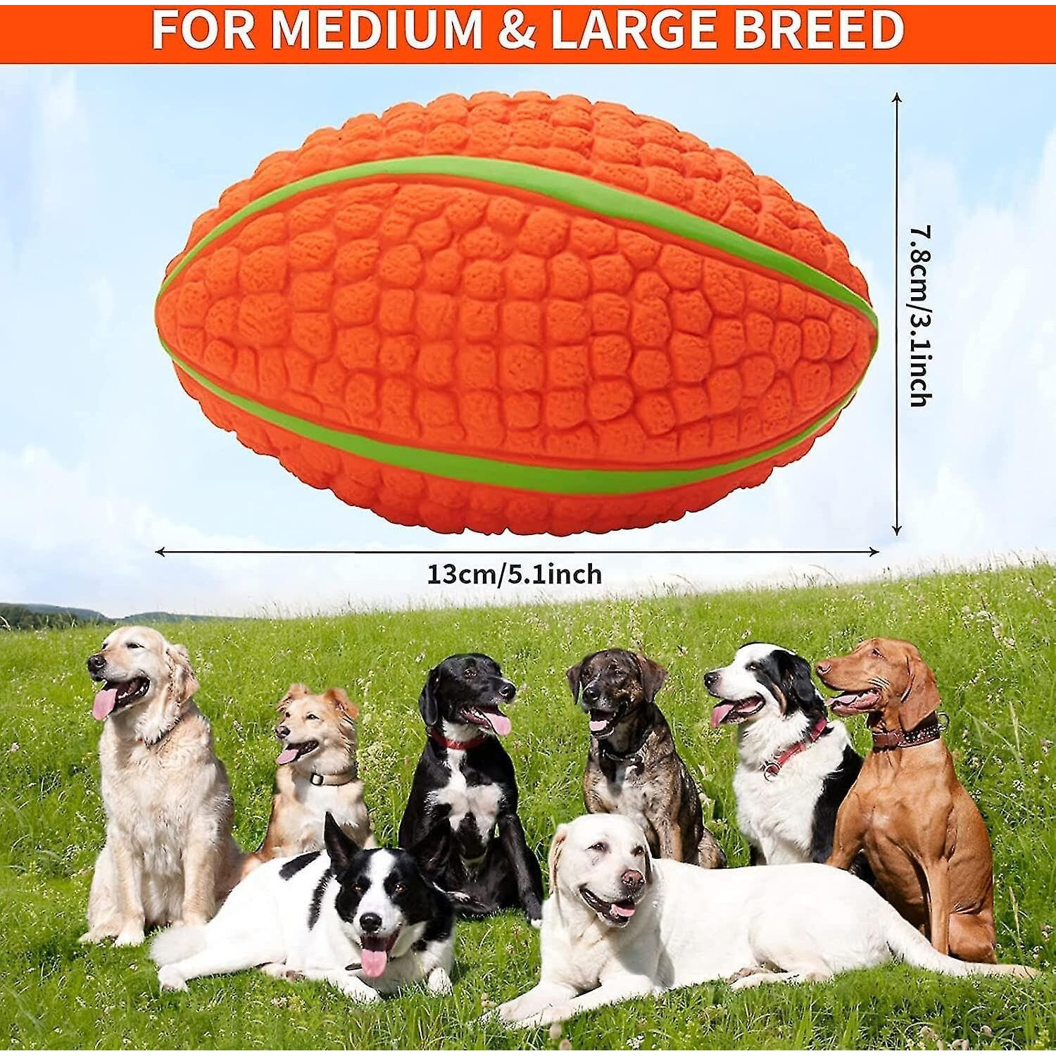Foodie Puppies Interactive Latex Squeaky Chew Toy For Small To Medium Dogs (Corn Rugby - Large) | Durable, Non-Toxic & Soft Teething, Floating, Training & Bouncing Pet Toy