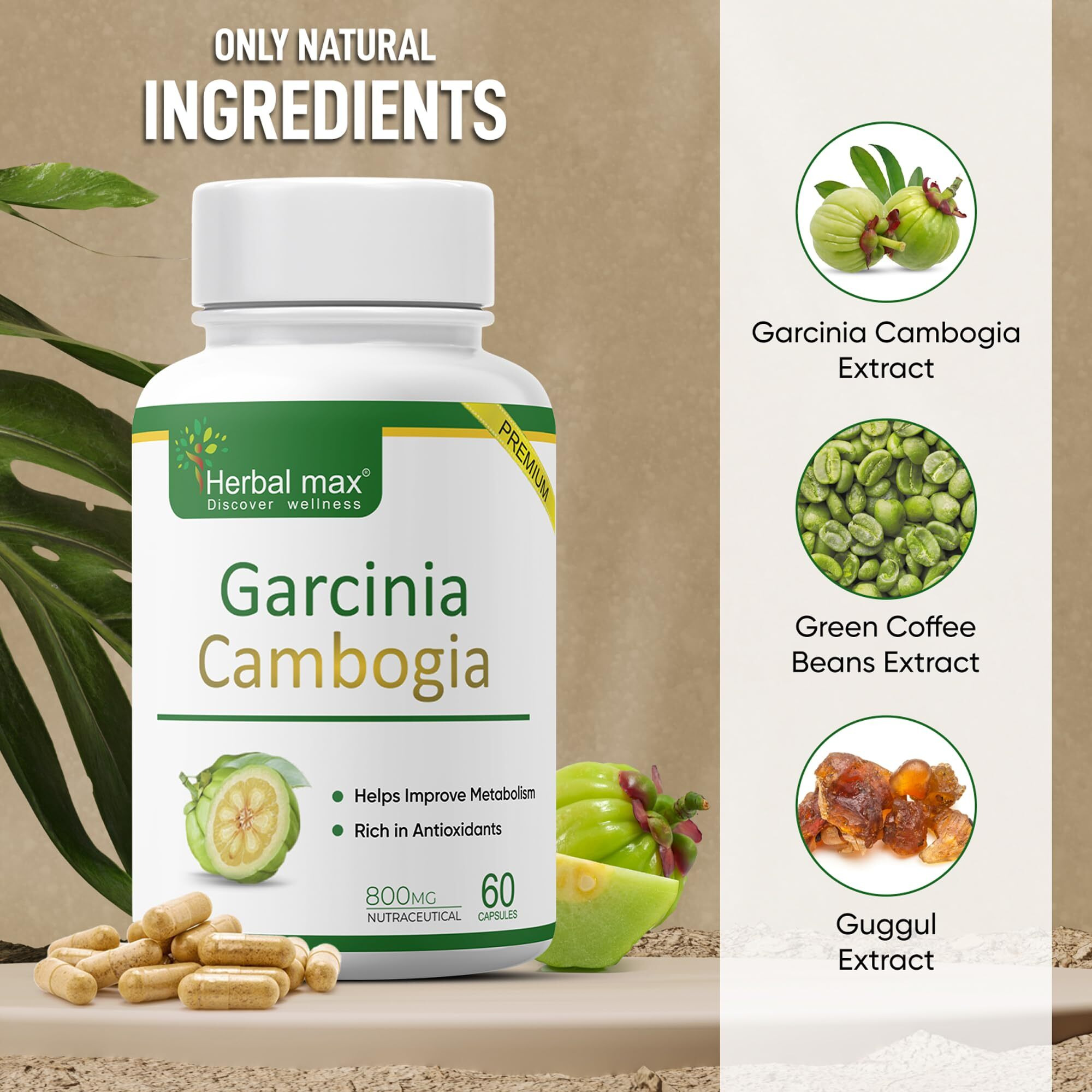 Herbal Max Garcinia Cambogia For Weight Management Capsule (60 Capsules) With 60% Hca & Green Tea Extract | Improves Digestion And Metabolism For Weight Management